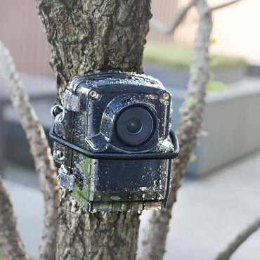 Brinno TLC2020-H Time Lapse Camera