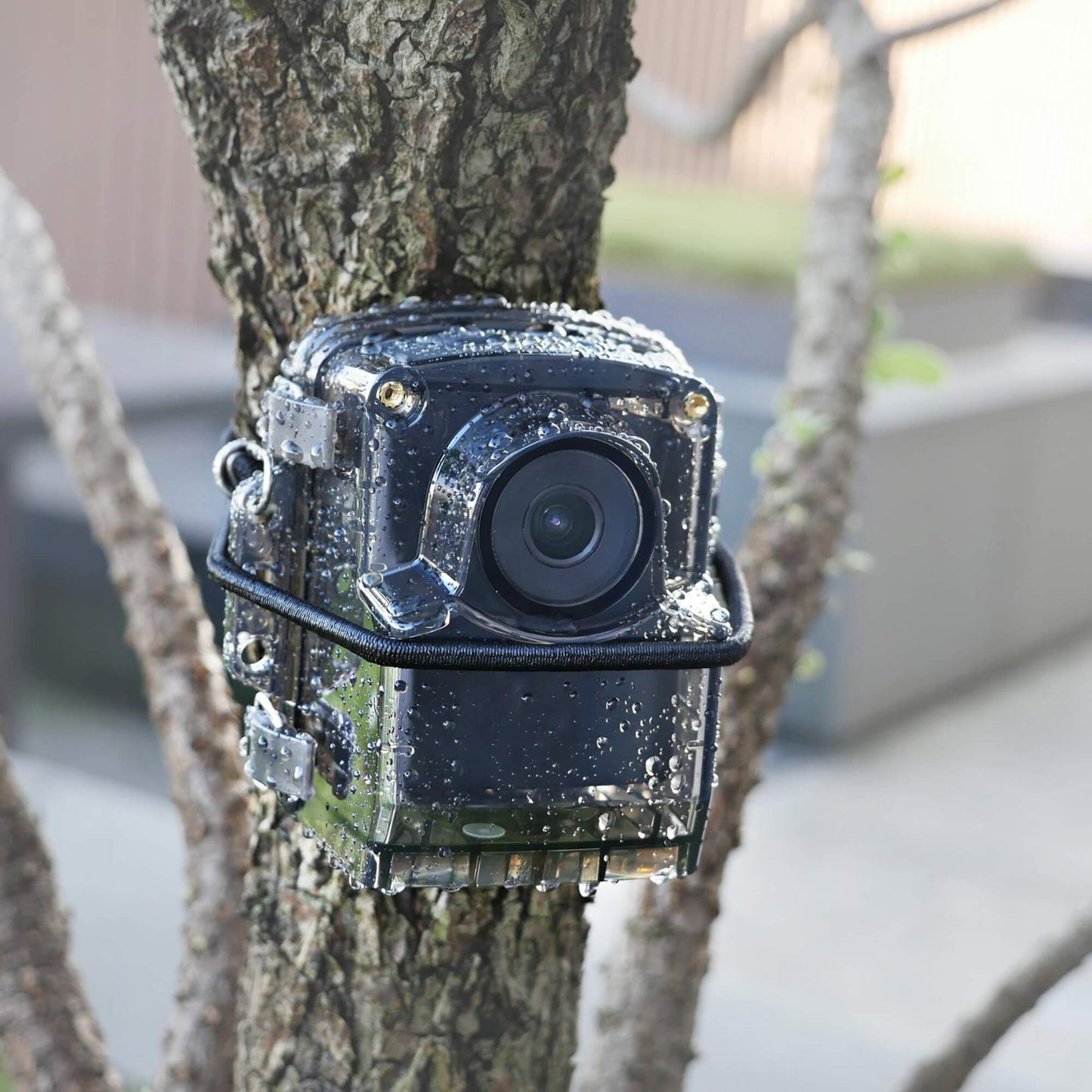 Brinno TLC2020-H Time Lapse Camera